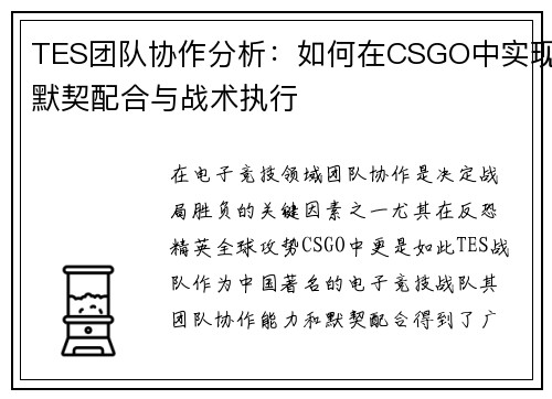 TES团队协作分析：如何在CSGO中实现默契配合与战术执行